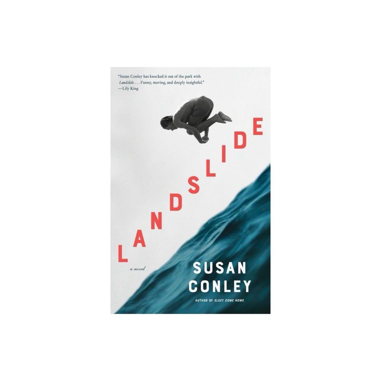 Landslide A Novel