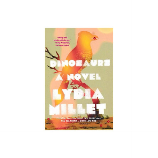 Dinosaurs - by Lydia Millet (Paperback)