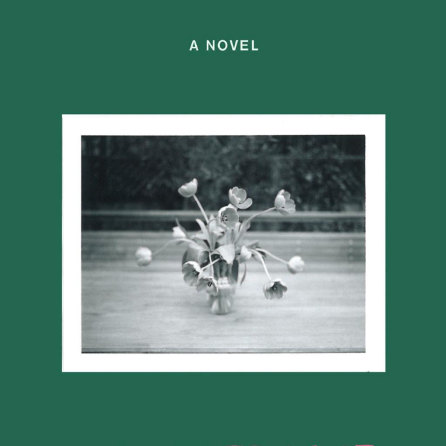 Owls Do Cry: A Novel