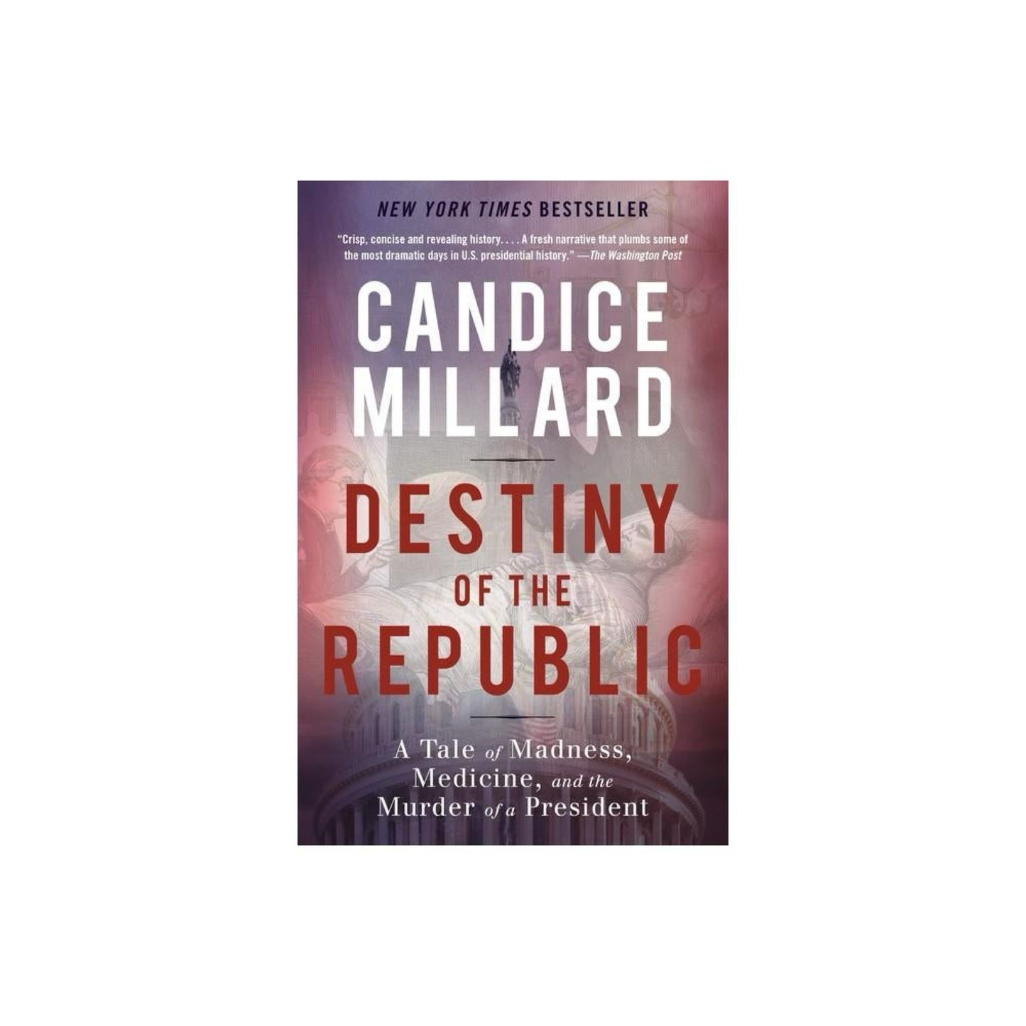 Destiny of the Republic: A Tale of Madness, Medicine and the Murder of a President by Candice Millard