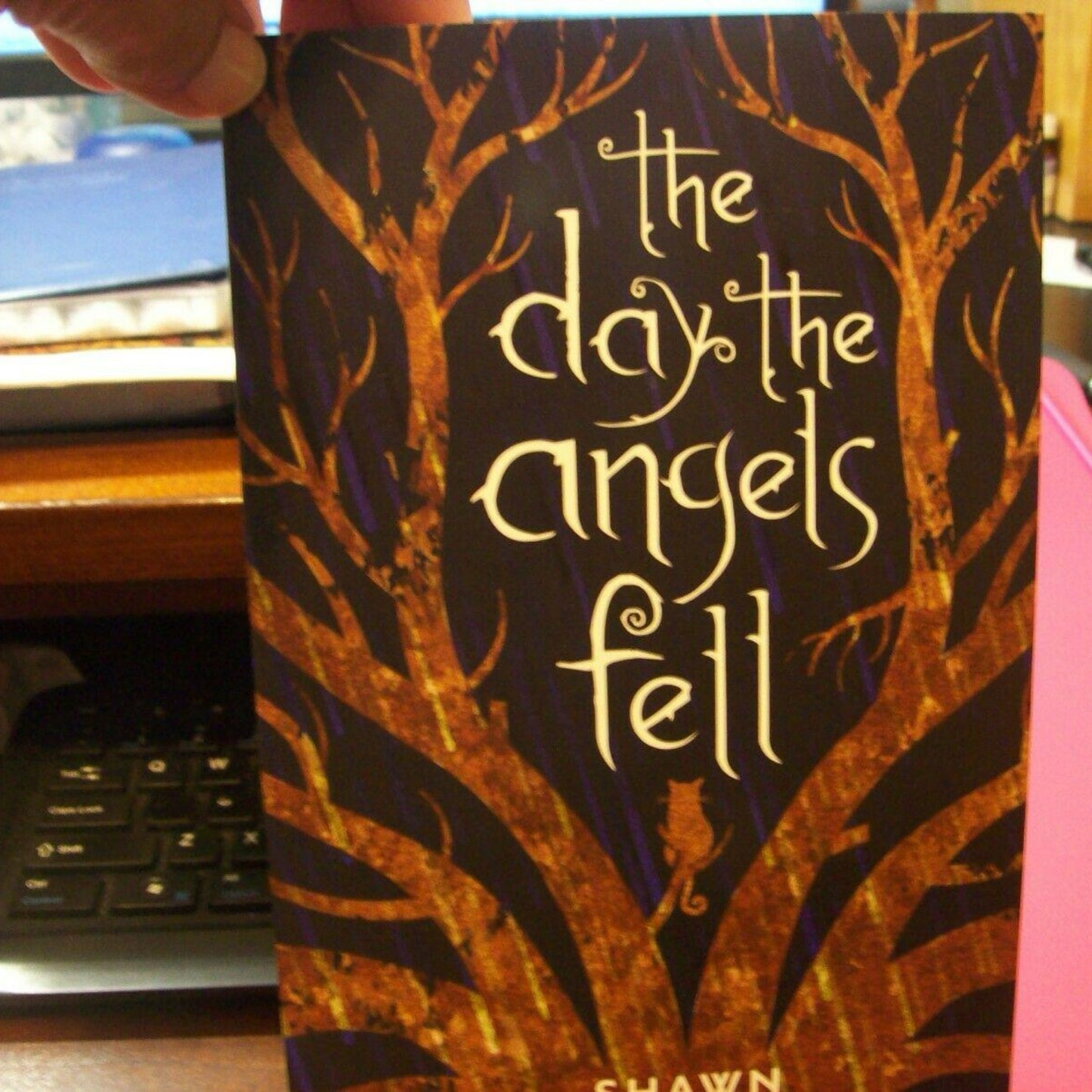 The Day the Angels Fell by Shawn Smucker