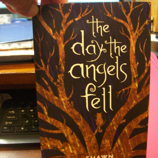 The Day the Angels Fell by Shawn Smucker