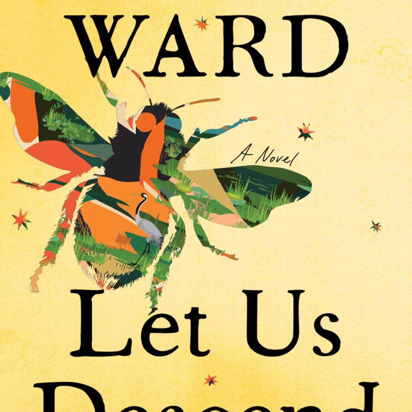 Let Us Descend - by Jesmyn Ward (Hardcover)