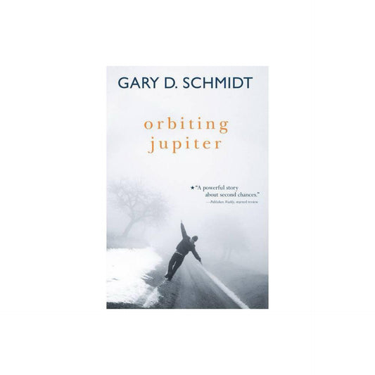 Orbiting Jupiter by Gary D. Schmidt