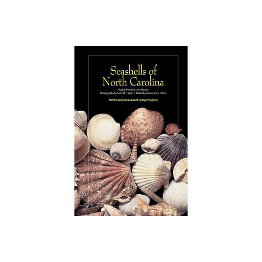 Seashells of North Carolina (Paperback)