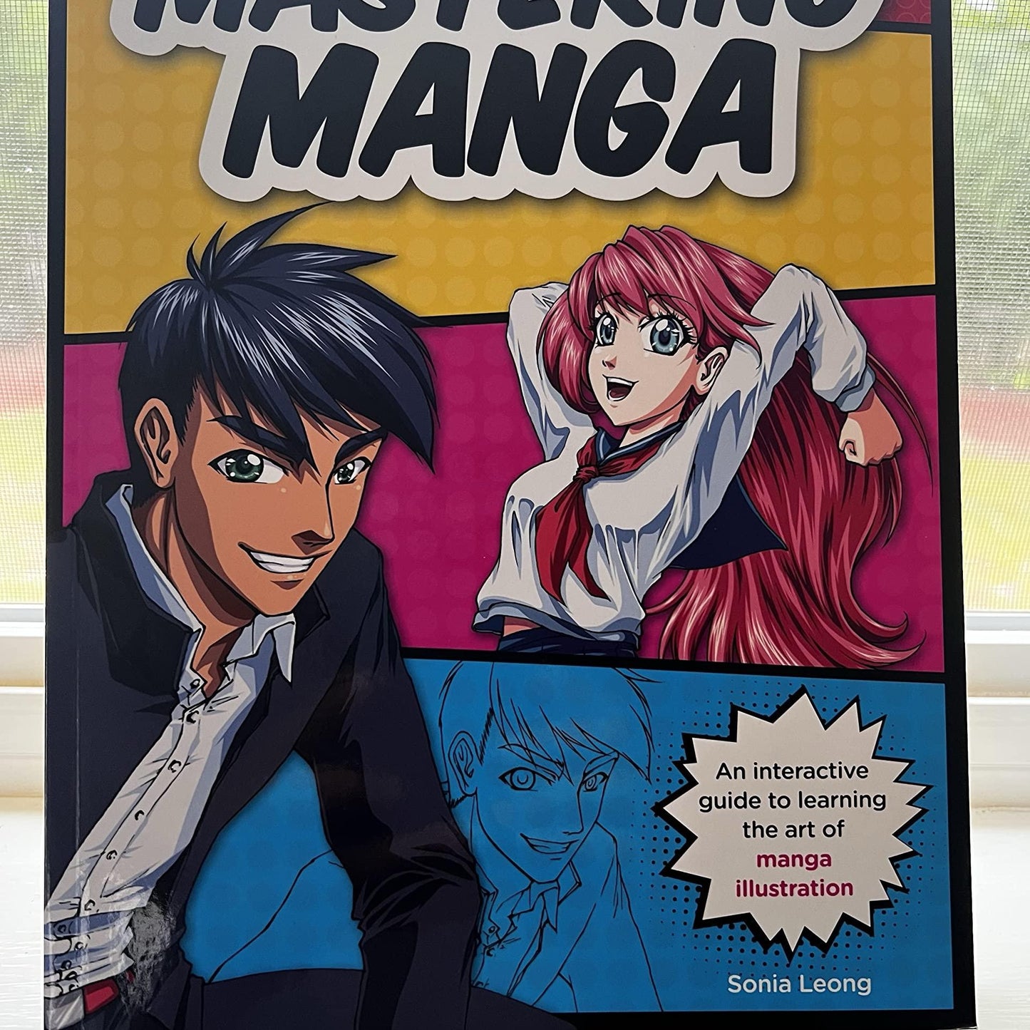 Mastering Manga