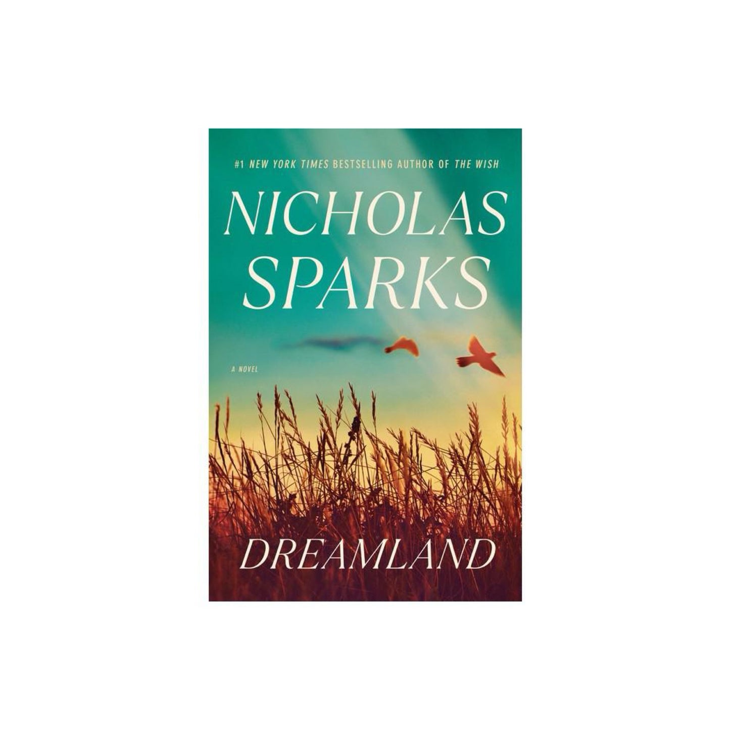 Dreamland (used): A Novel by Nicholas Sparks