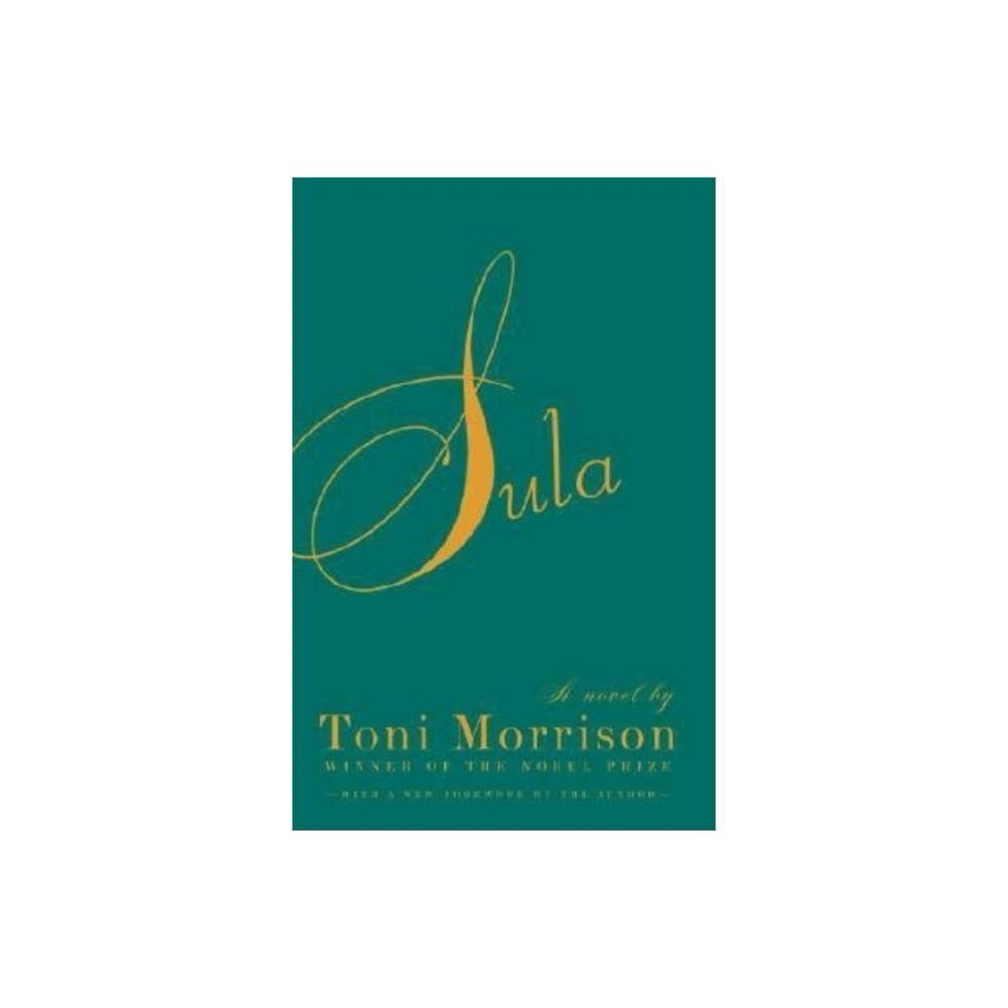 Sula - (Vintage International) by Toni Morrison (Paperback)