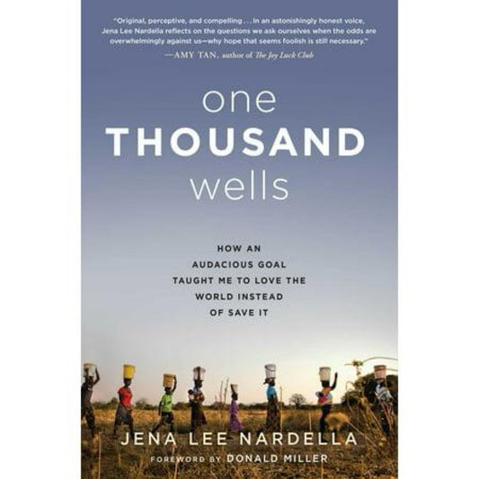 One Thousand Wells : (Used) How an Audacious Goal Taught Me to Love the World Instead of Save It (Hardcover)