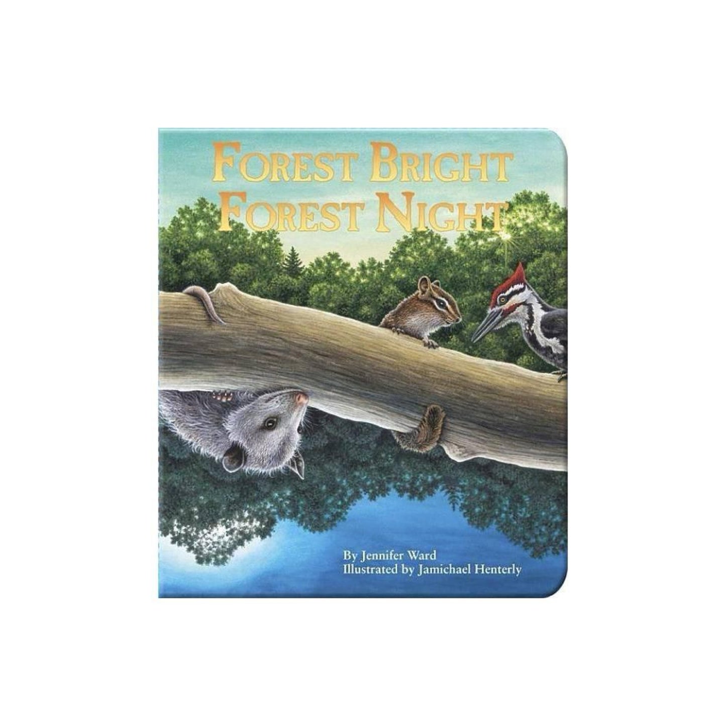 Forest Bright, Forest Night - by Jennifer Ward (Board Book)