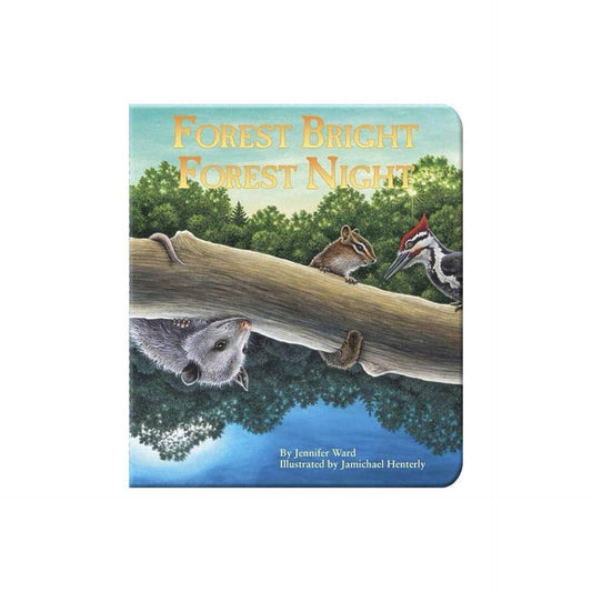 Forest Bright, Forest Night - by Jennifer Ward (Board Book)