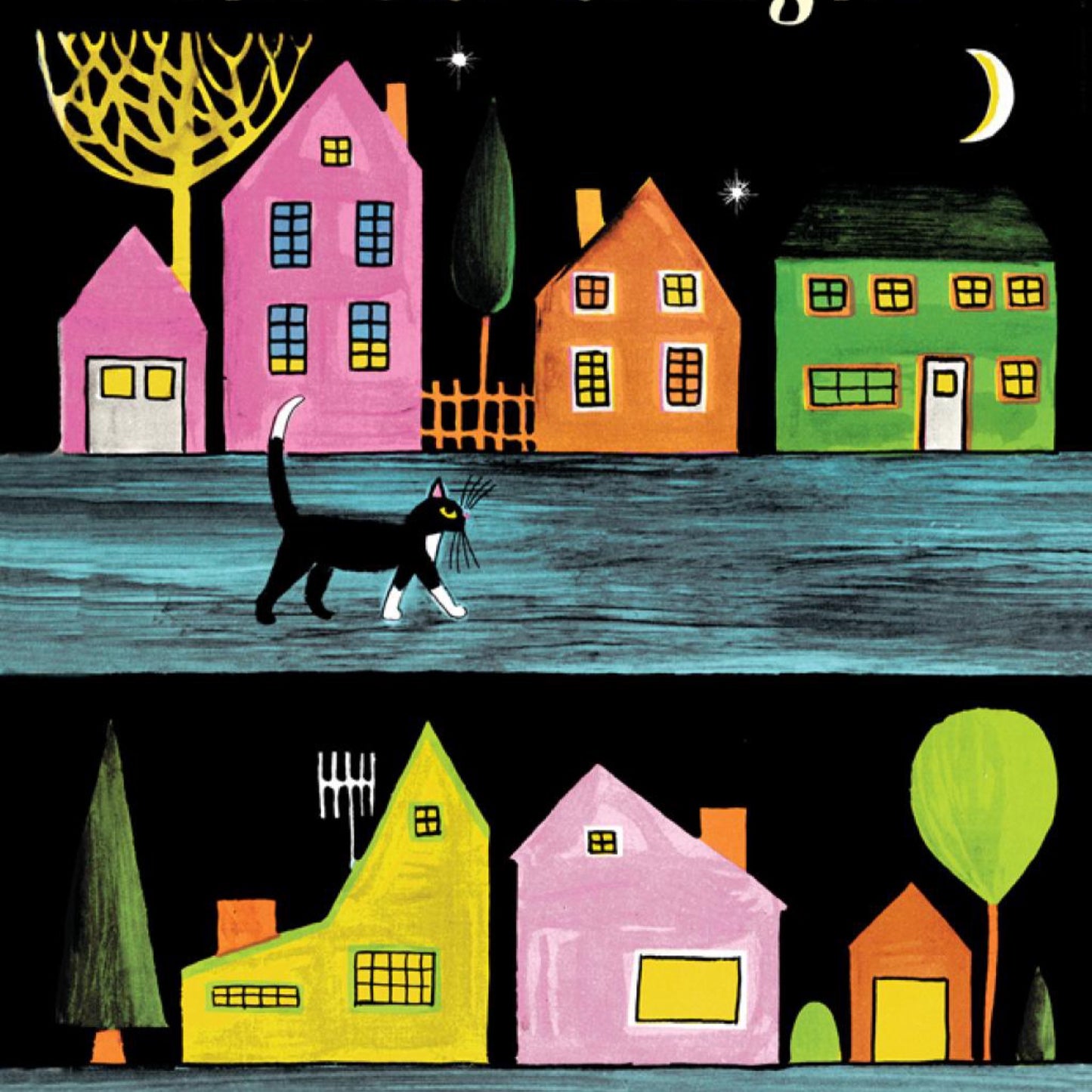 The Cat at Night