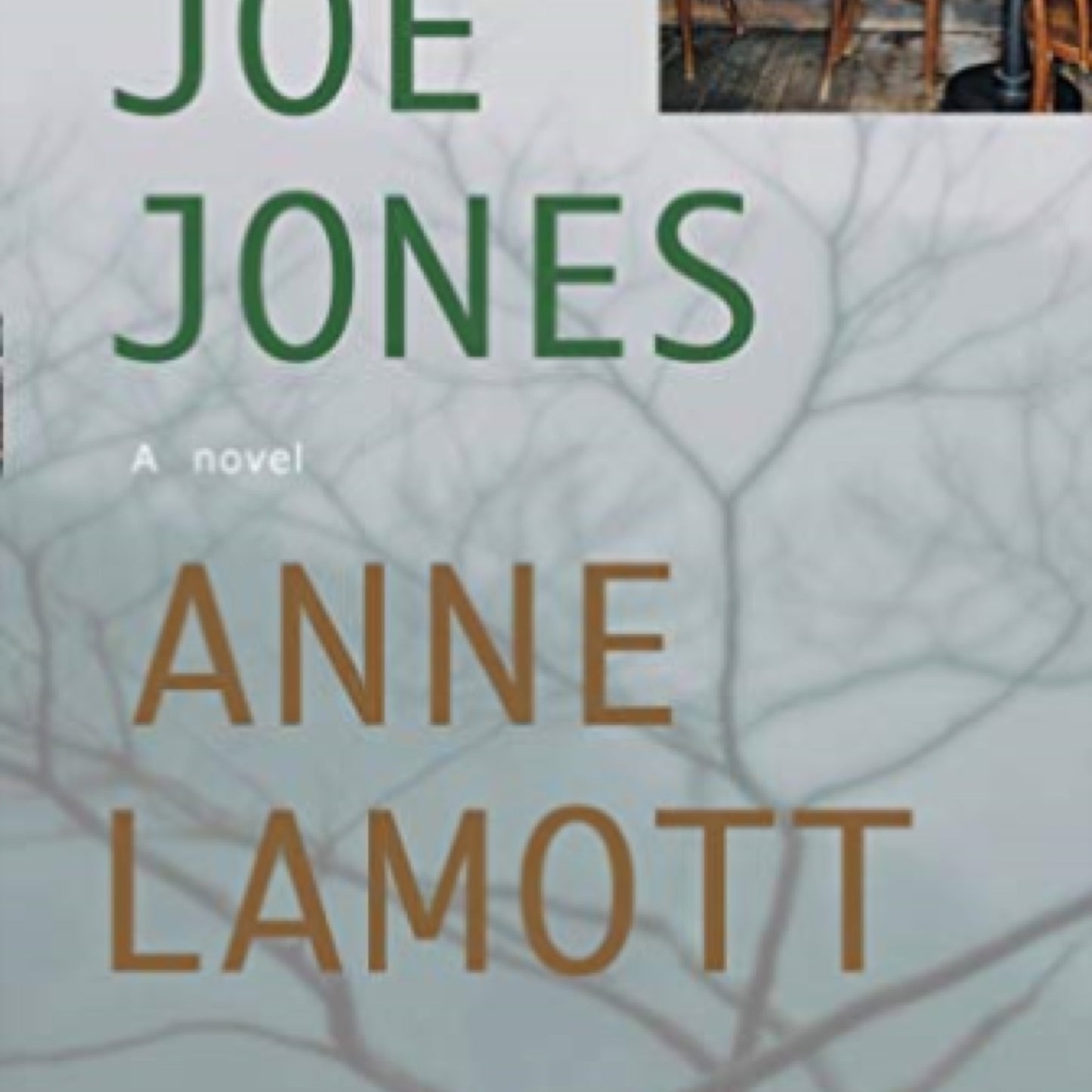 Joe Jones: A Novel (1593760035)