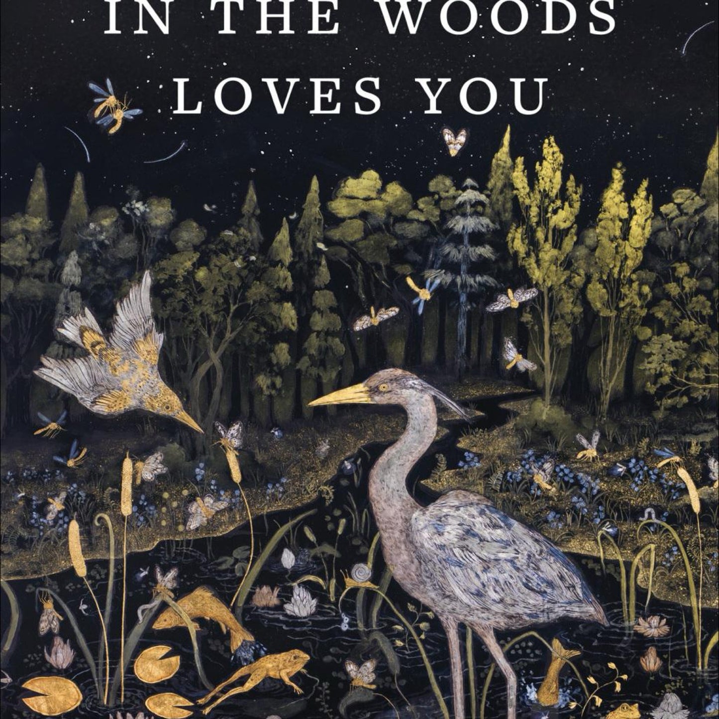 Something in the Woods Loves You - by Jarod K Anderson (Hardcover)
