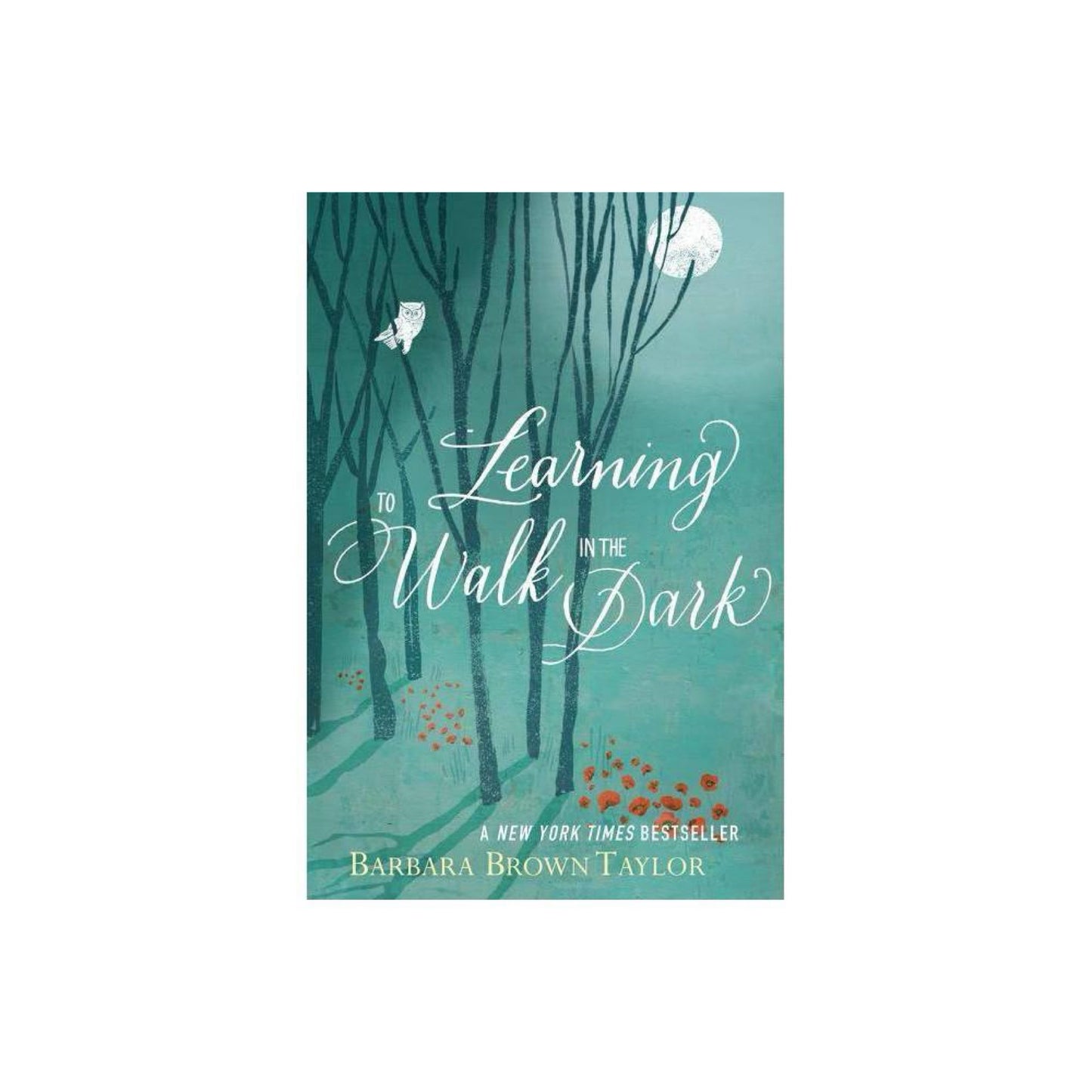 Learning to Walk in the Dark by Barbara Brown Taylor