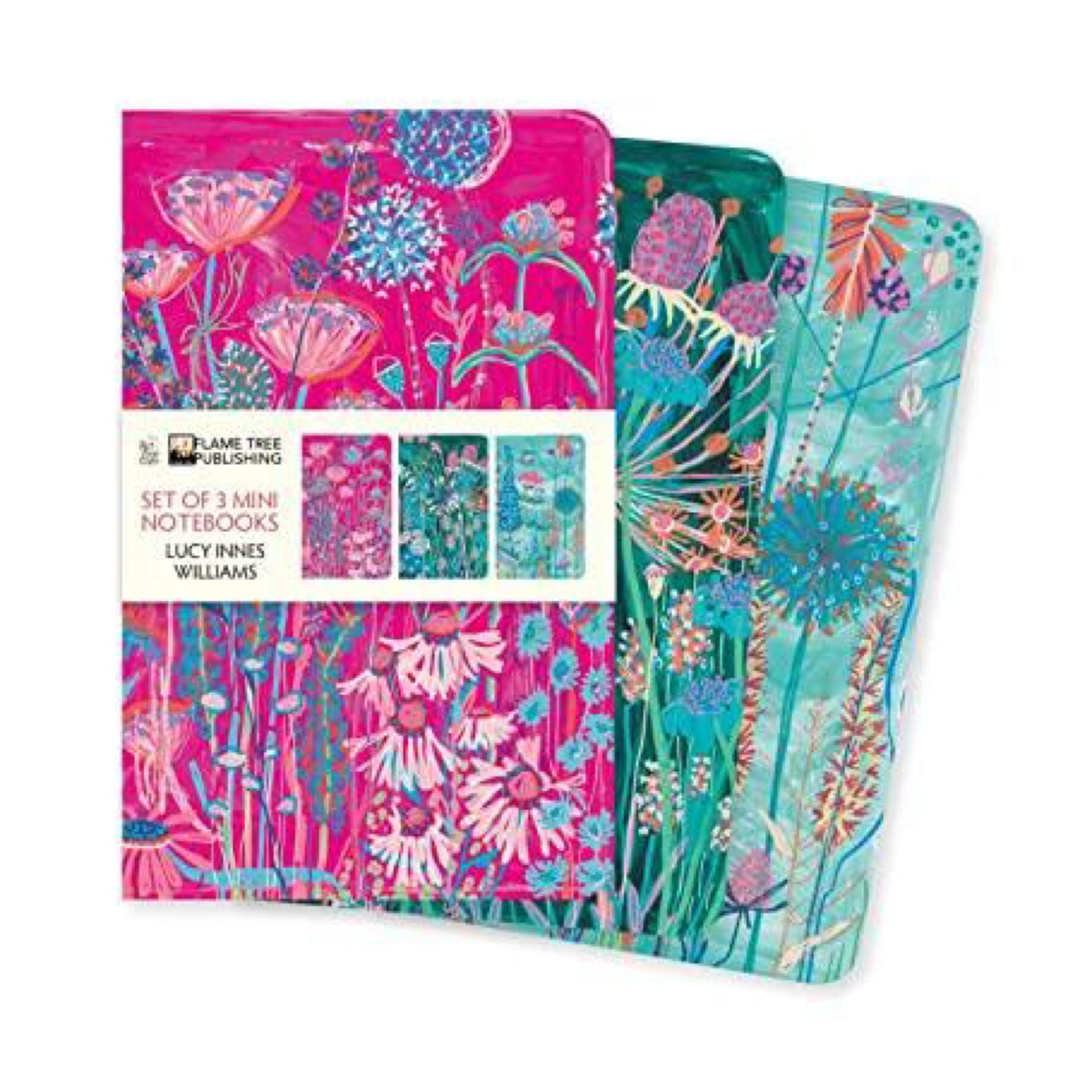 Lucy Innes Williams Set of 3 Mini Notebooks (Mini Notebook Collections)