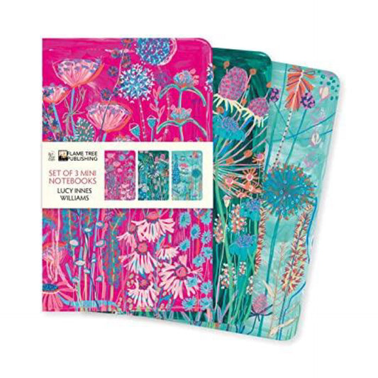 Lucy Innes Williams Set of 3 Mini Notebooks (Mini Notebook Collections)