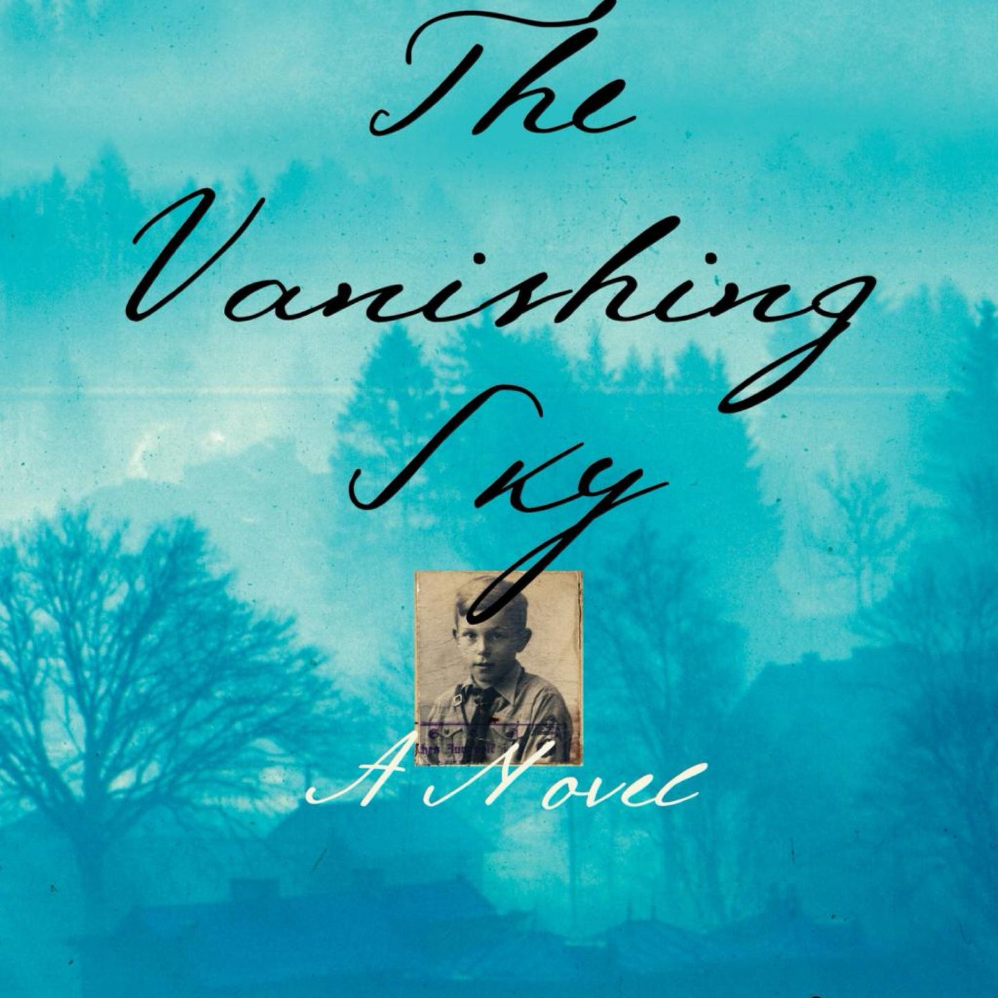 The Vanishing Sky (Used) - by L Annette Binder (Hardcover)