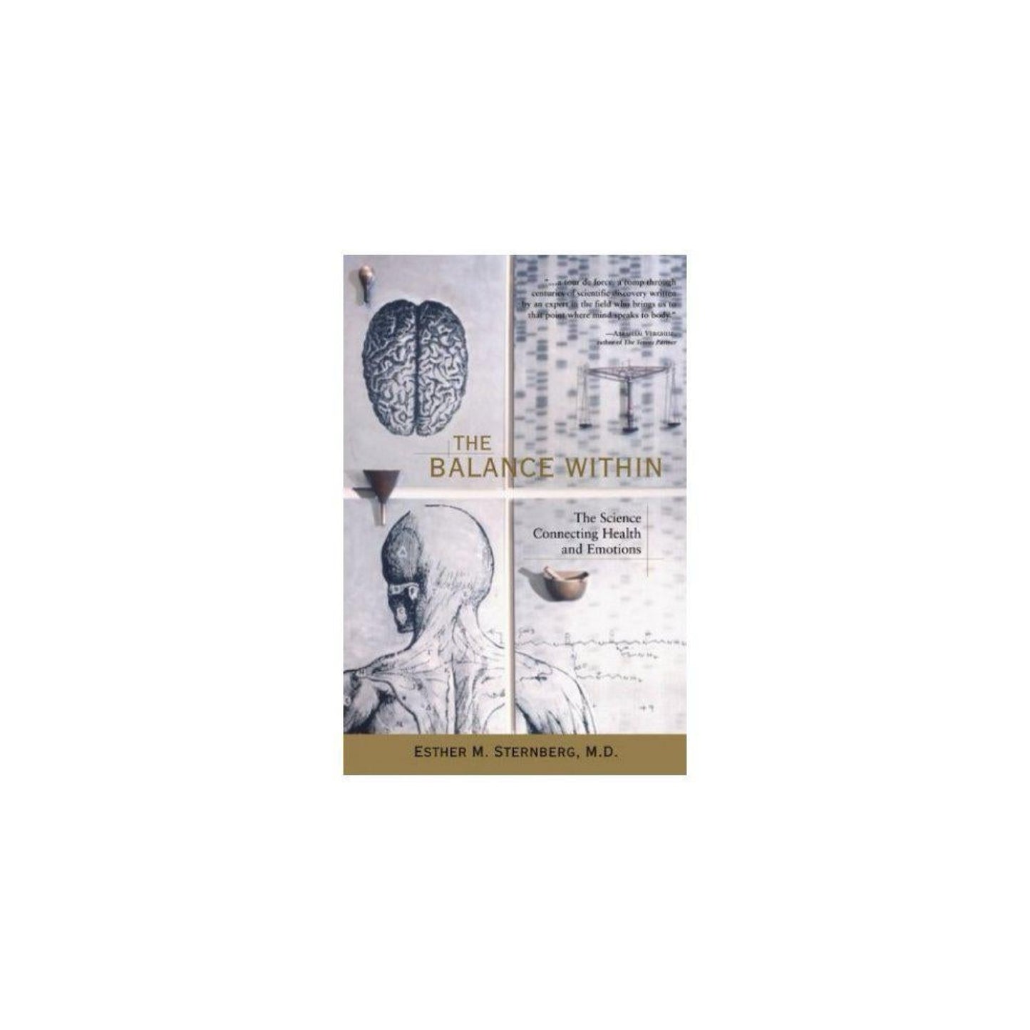 Balance Within : (Used) The Science Connecting Health and Emotions by Esther M., Sternberg, Esther M. Sernberg