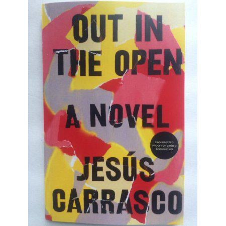 Out in the Open (Hardcover) (JESu00Fas Carrasco)