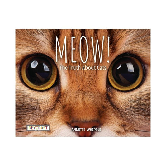 Meow! the Truth about Cats - by Annette Whipple (Paperback)