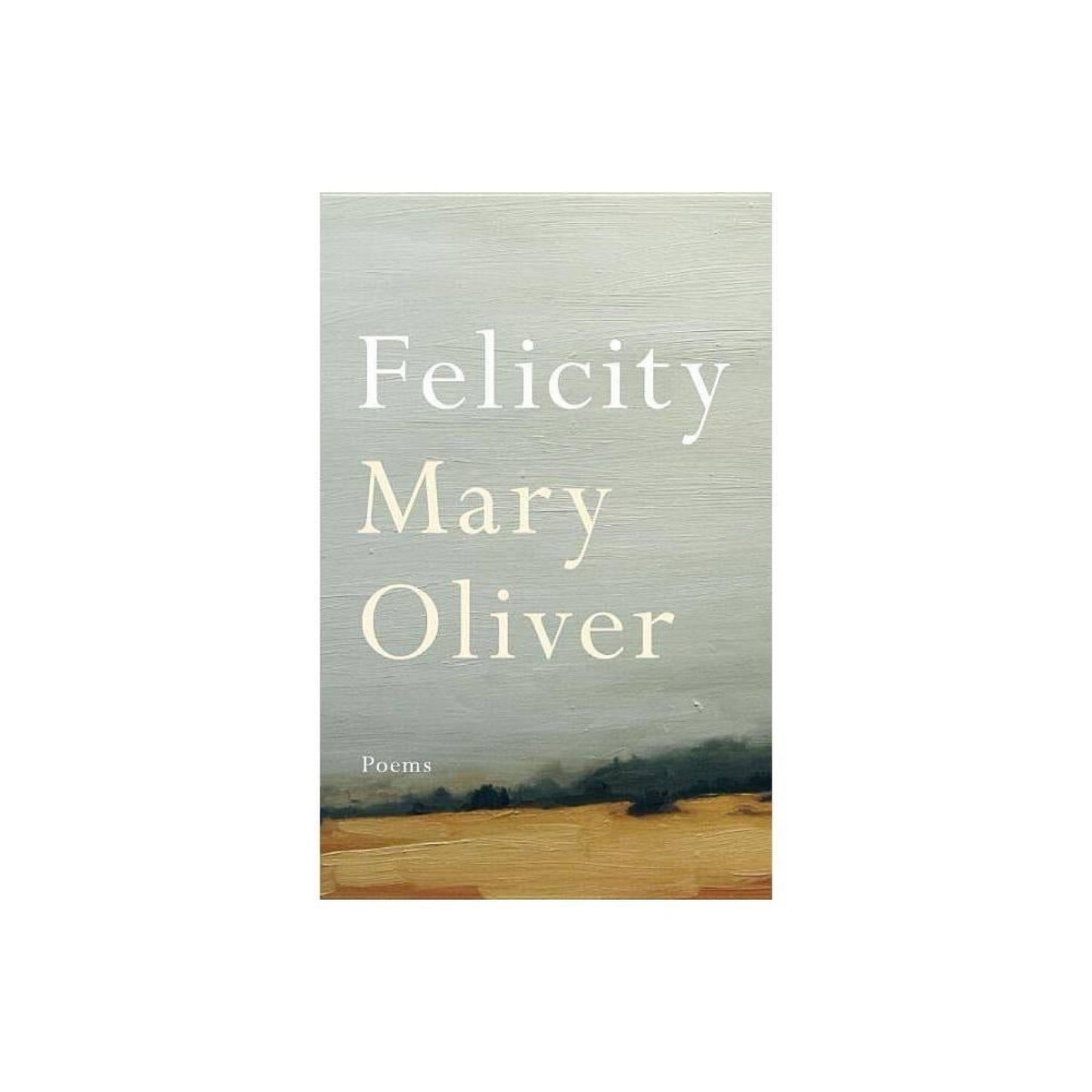 Felicity : Poems (Hardcover)