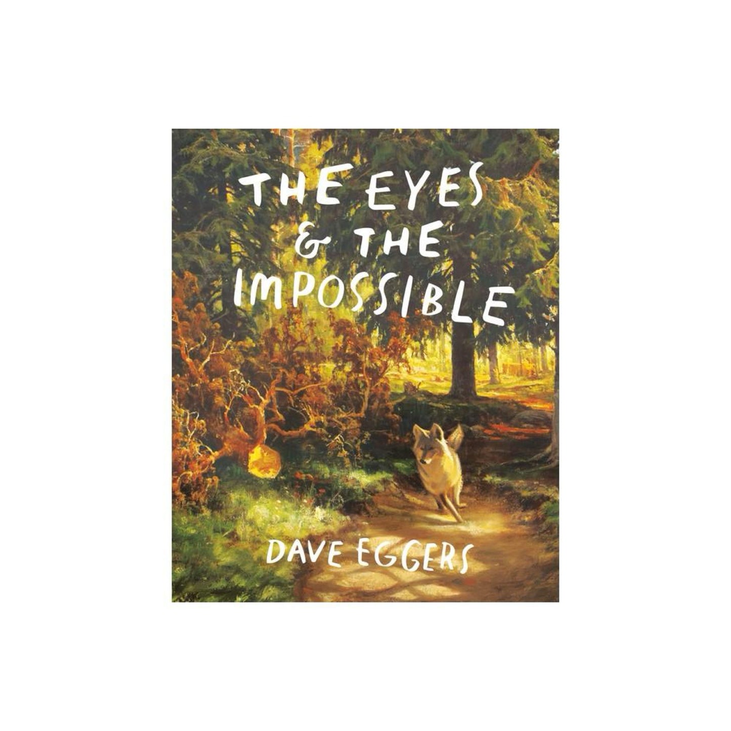 The Eyes and The Impossible - by Dave Eggers (Hardcover)