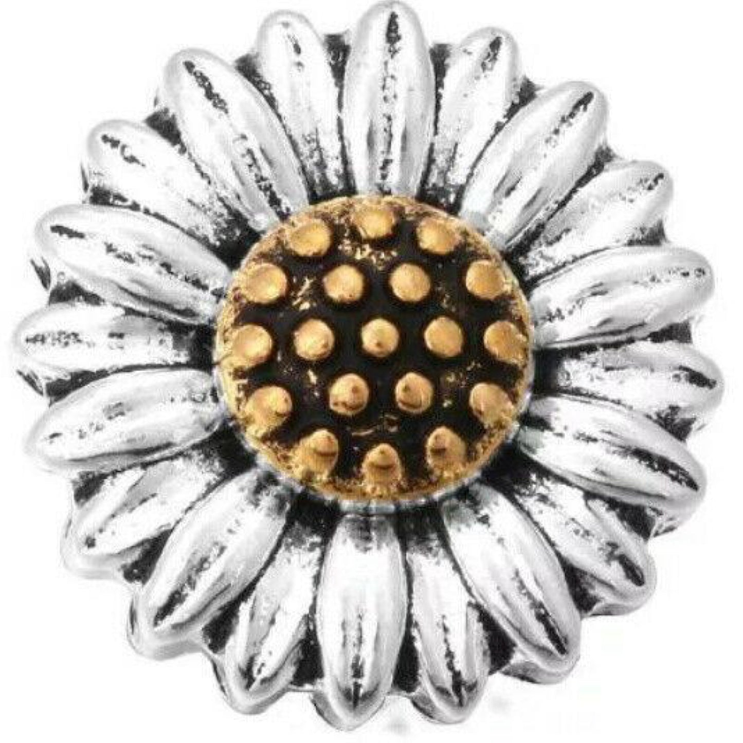 Magnolia Flower by Zora Neale Hurston