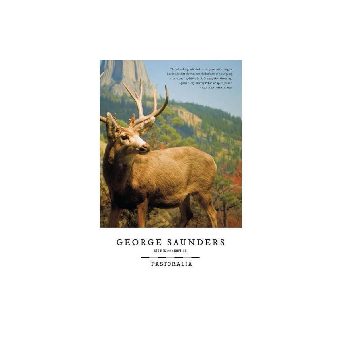 Pastoralia by George Saunders