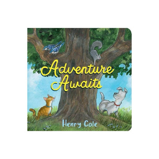 Adventure Awaits - by Henry Cole (Board Book)