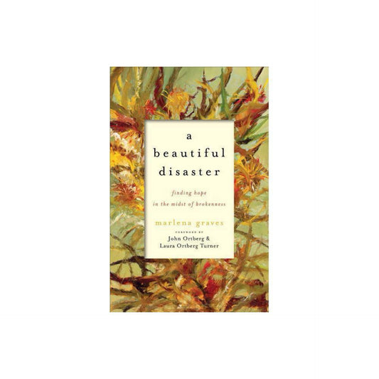 A Beautiful Disaster (Paperback)