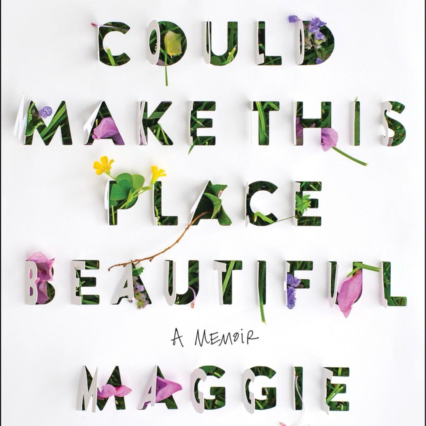 You Could Make This Place Beautiful- A Memoir by Maggie Smith